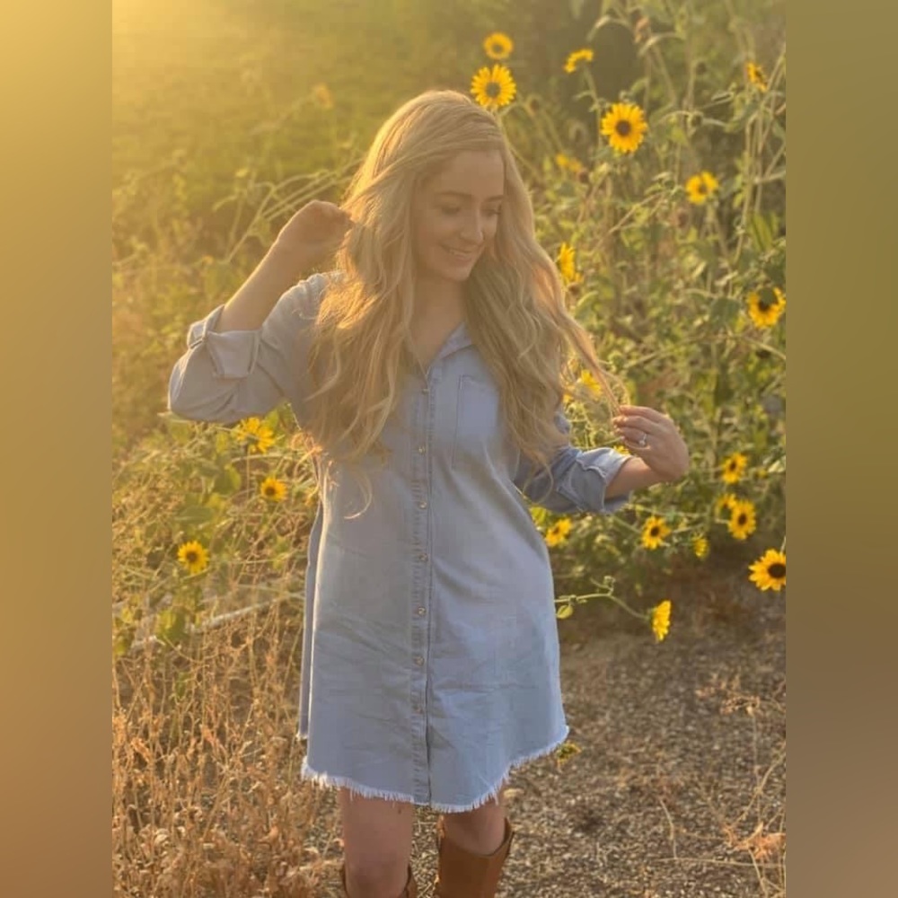 Addison Chambray Blue Jean Denim Dress
